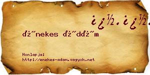 Énekes Ádám névjegykártya